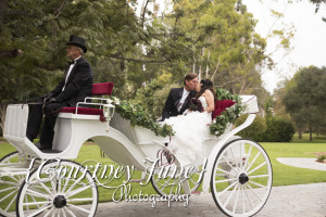 mansion wedding photography tropical wedding photogrpahy minnesota minneapolis wedding photography