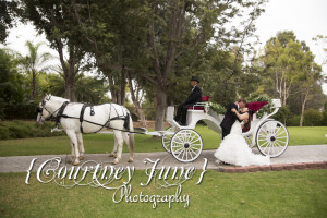 mansion wedding photography tropical wedding photogrpahy minnesota minneapolis wedding photography