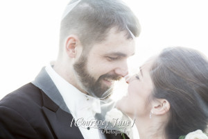 heartland st paul como zoo sunken garden conservatory minneapolis wedding photographer