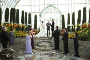 heartland st paul como zoo sunken garden conservatory minneapolis wedding photographer