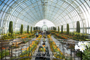 heartland st paul como zoo sunken garden conservatory minneapolis wedding photographer