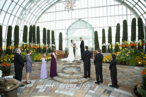 heartland st paul como zoo sunken garden conservatory minneapolis wedding photographer