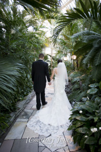 heartland st paul como zoo sunken garden conservatory minneapolis wedding photographer