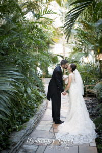 heartland st paul como zoo sunken garden conservatory minneapolis wedding photographer