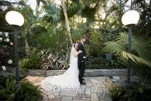 heartland st paul como zoo sunken garden conservatory minneapolis wedding photographer