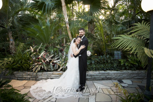 heartland st paul como zoo sunken garden conservatory minneapolis wedding photographer