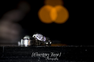 heartland st paul como zoo sunken garden conservatory minneapolis wedding photographer