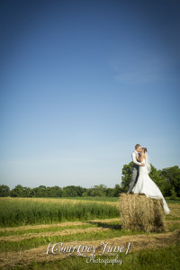 minnesota harvest apple orchard jordan minneapolis wedding photographer