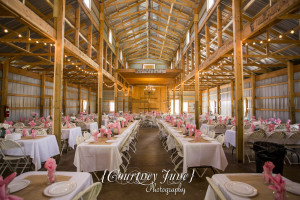 minnesota harvest apple orchard jordan minneapolis wedding photographer