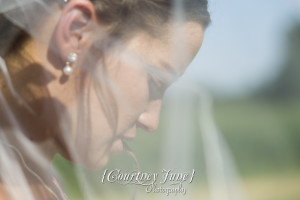 minnesota harvest apple orchard jordan minneapolis wedding photographer